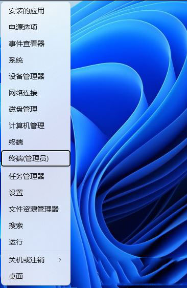 Win11使用flushdns命令后無法上網的三